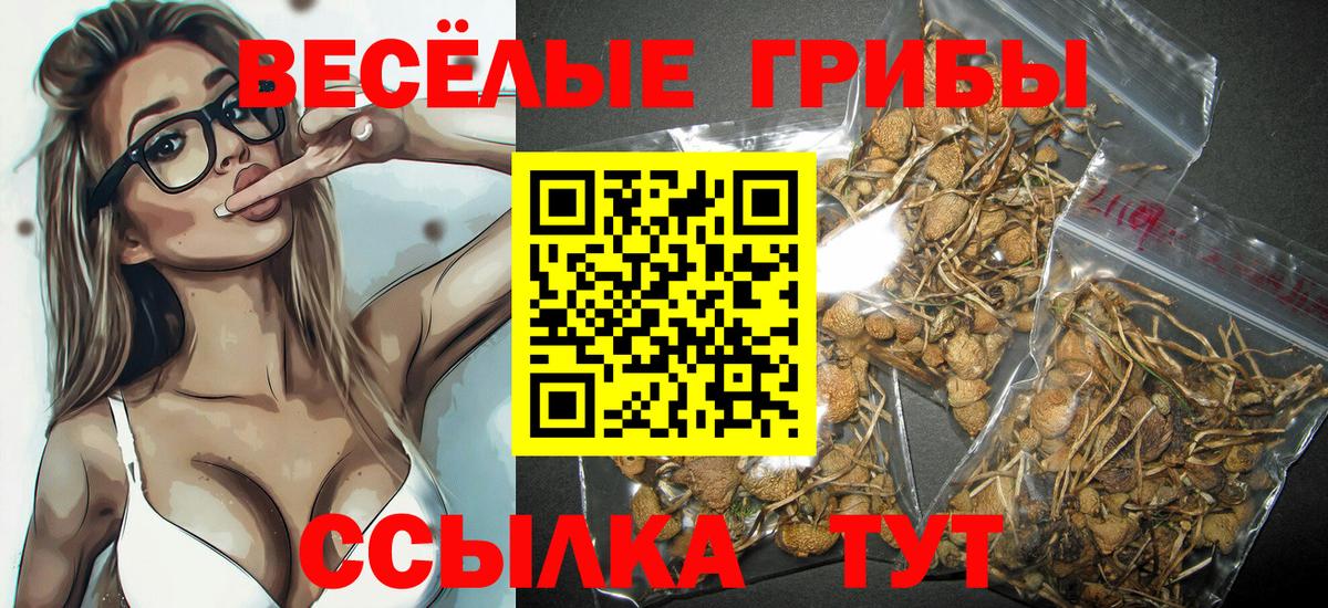 Галлюциногенные грибы прущие грибы Саяногорск