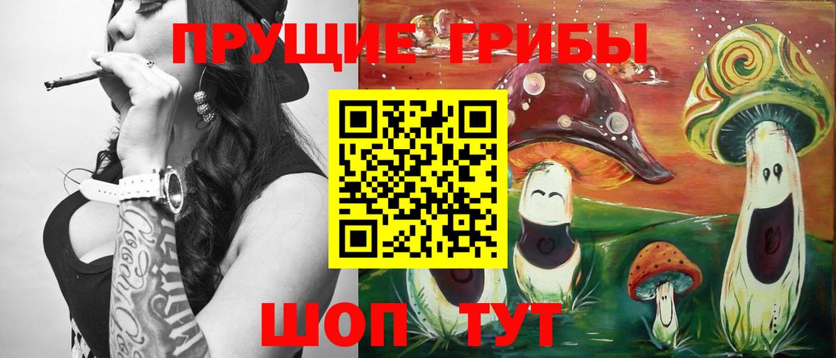 Галлюциногенные грибы Psilocybine cubensis  Вход с VPN  Саяногорск  Галлюциногенные грибы MAGIC MUSHROOMS 