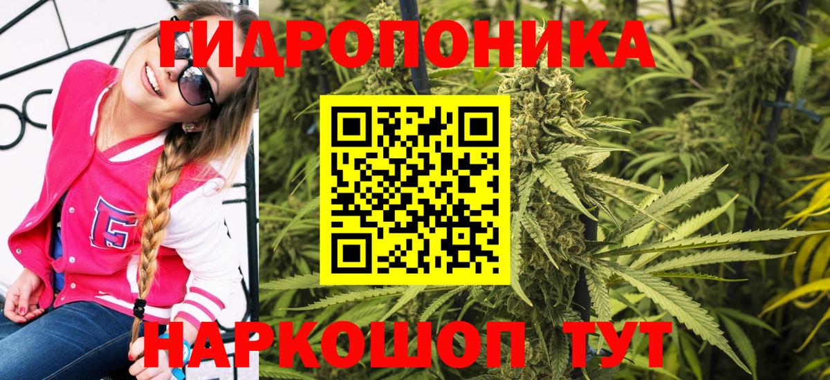 Каннабис семена  Вход с VPN  Канабис AK-47  Конопля MAZAR  Бошки Шишки VHQ  Саяногорск 